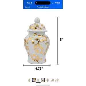 Ginger Jar for Decor
